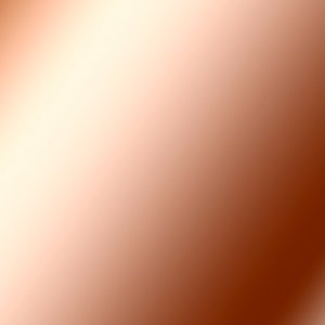 Bronze Tones